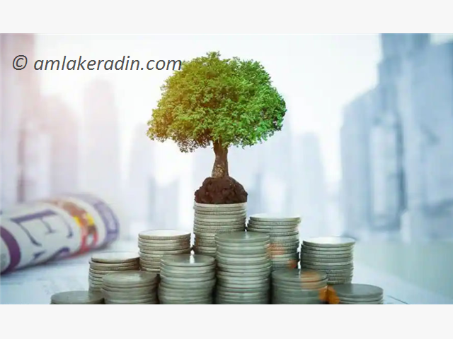 بهترین روش سرمایه گذاری  در ایران از 10 سال اخیر